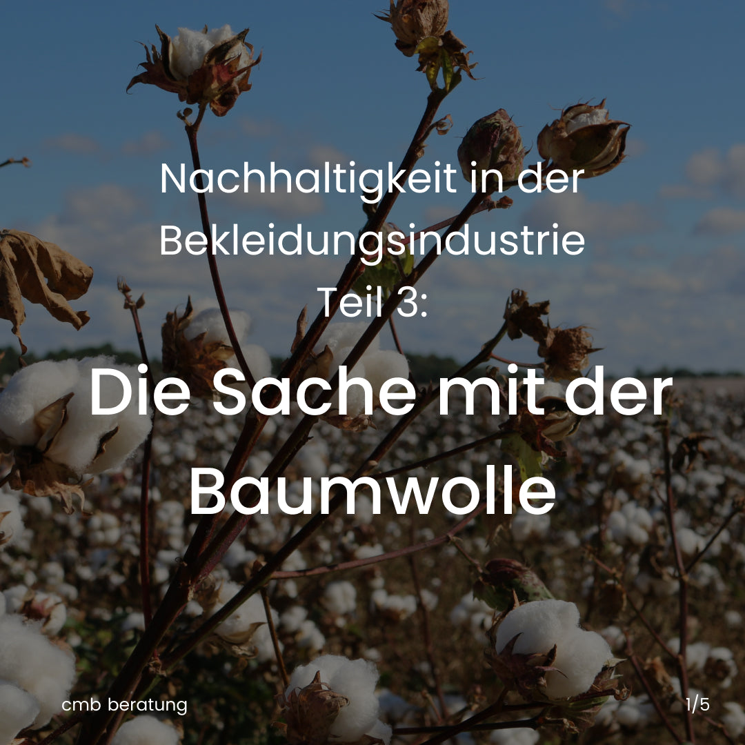Nachhaltigkeit in der Bekleidungsindustrie – Teil 3: Die Sache mit der Baumwolle