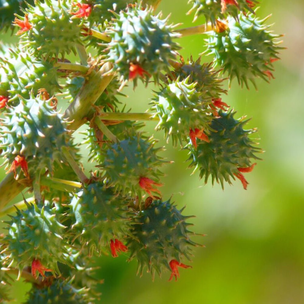 Naturfaser, Kunstfaser oder Hybride? In welchem Material liegt die Zukunft einer nachhaltigen Bekleidungsbranche? - BREDDY'S Blog