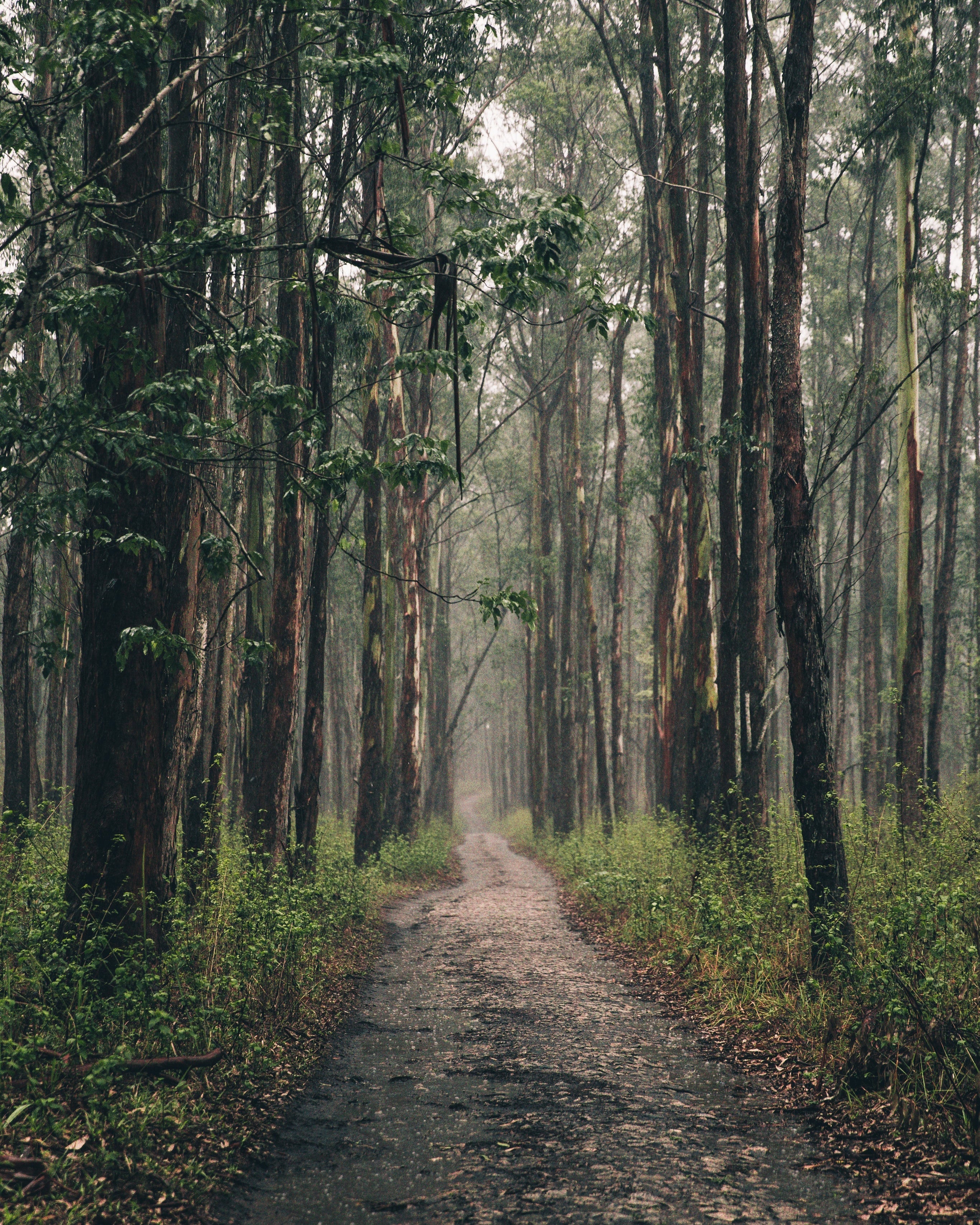 Welche nachhaltigen Materialien sind heute wirklich belastbar – und was leisten sie?